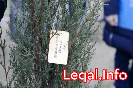 Leyla Əliyeva "Xocalıya ədalət!" kampaniyası çərçivəsində ağacəkmə aksiyasında iştirak edib