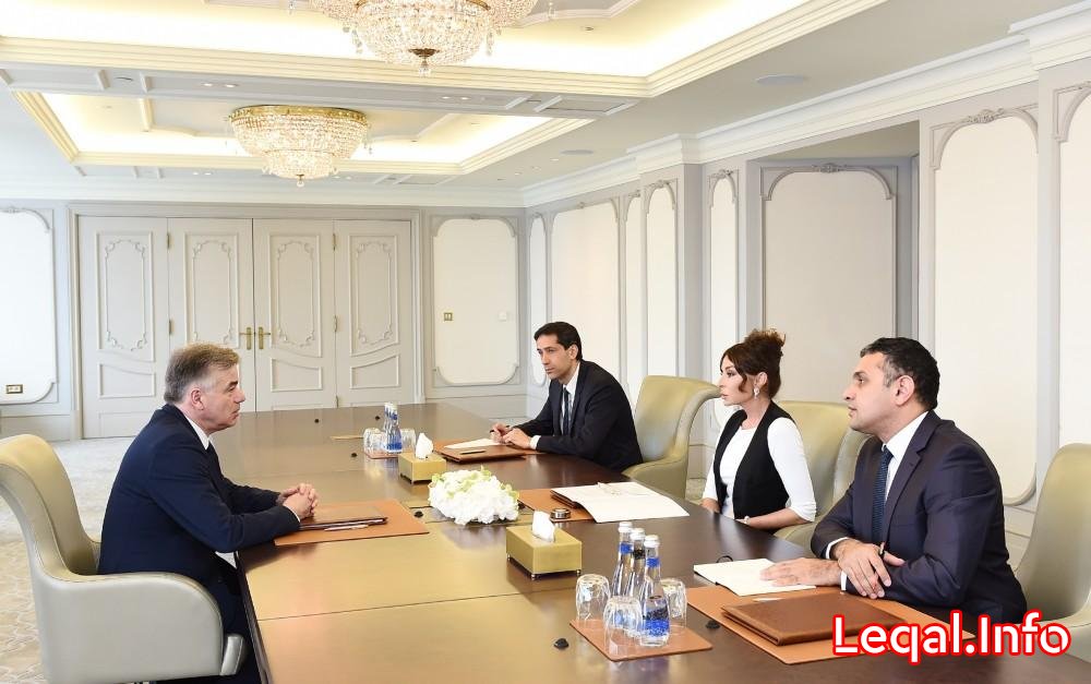 Birinci vitse-prezident Mehriban Əliyeva Fransa Senatının Fransa-Qafqaz dostluq qrupunun sədri ilə görüşüb