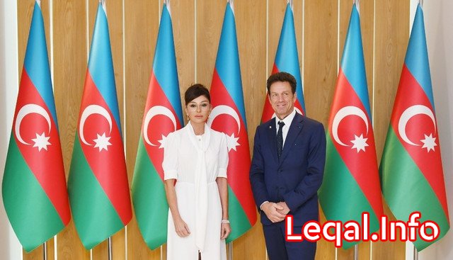 Mehriban Əliyeva MEDEF Biznes Şurasının prezidenti ilə görüşüb