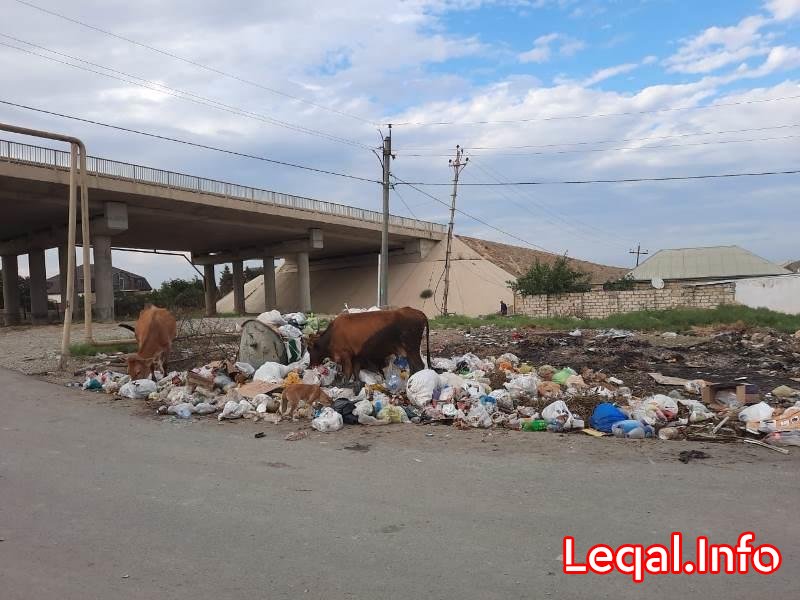 İcra başçısının birinci müavini cəzalandırıldı