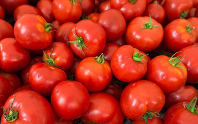 50 ton Azərbaycan pomidoru Rusiyaya buraxılmadı