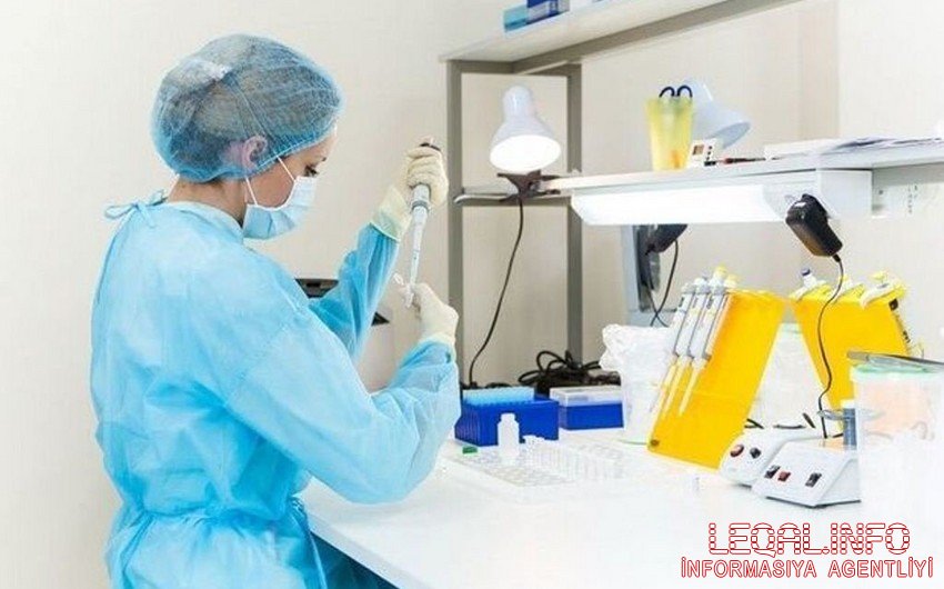 Ermənilərin Başlıbeldə öldürdükləri şəxslərin yaxınlarından DNT analizi götürülüb