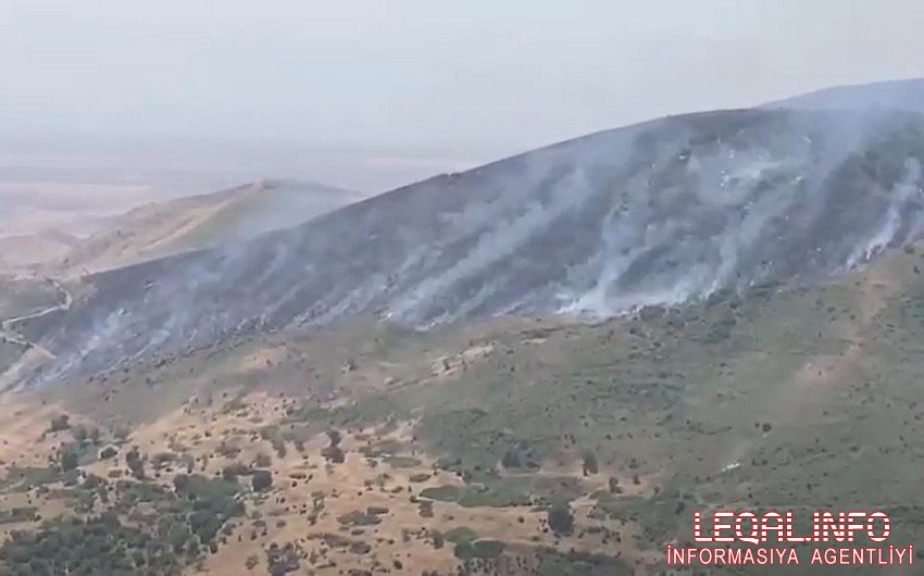 Hadrut istiqamətində meşə zolağı yanır