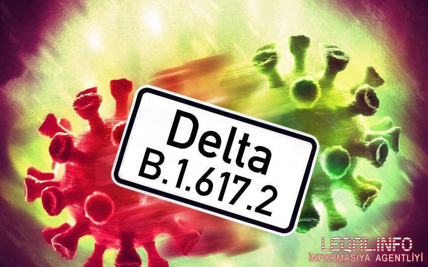 TƏBİB rəsmisindən “Delta” variantı ilə bağlı açıqlama