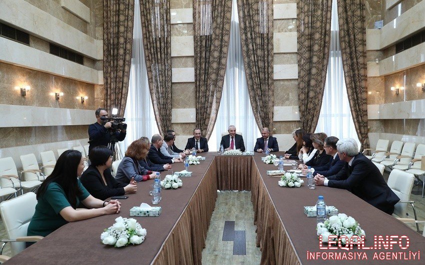 MSK Şahin Seyidzadənin deputat səlahiyyətlərinə xitam verib