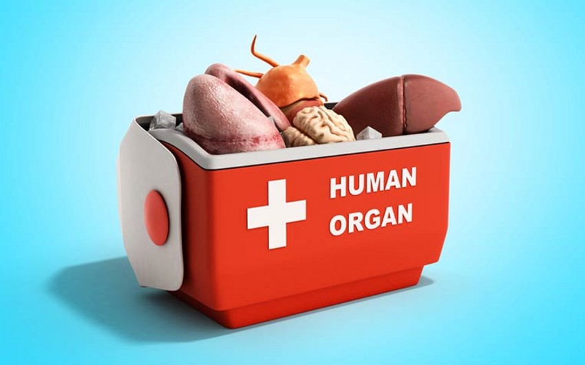 Azərbaycanda qanunla qadağan olunan şəxslərdən orqan götürənlər həbs olunacaq