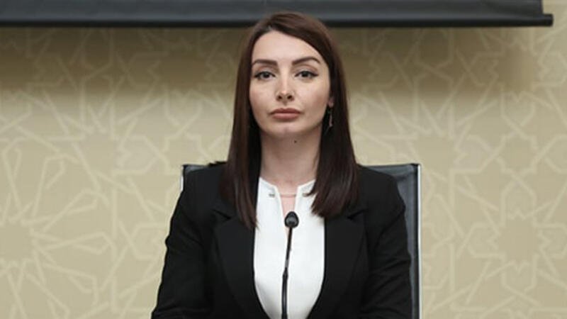 “Türkiyə Azərbaycana ən böyük siyasi dəstəyi göstərən dövlətdir