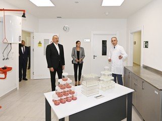 İlham Əliyev və Mehriban Əliyeva “Grand-Agro İnvitro” MMC-nin müəssisəsi ilə tanış olub