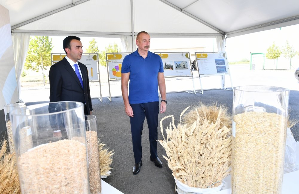 İlham Əliyev “Ağsu Aqropark”da İlham Əliyev “Ağsu Aqropark”da