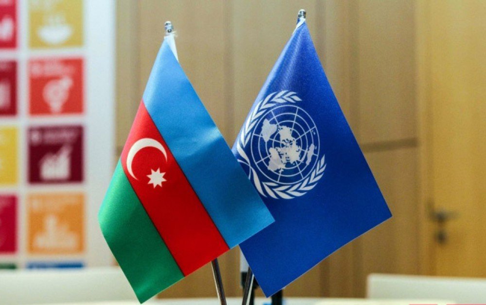 ANAMA sədri BMT Baş katibinin köməkçisi ilə görüşüb