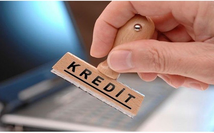 Sahibkarlığın İnkişafı Fondu 10 ayda 106 milyon manat kredit verib