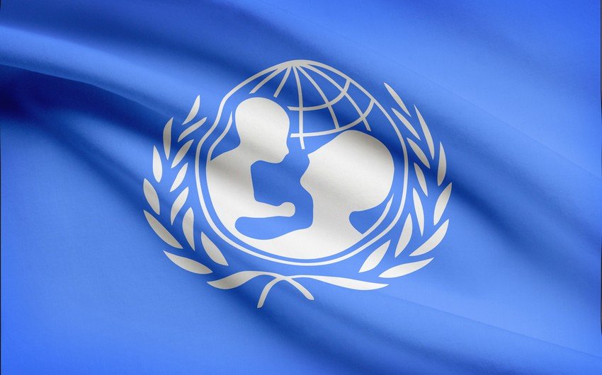 Azərbaycan UNICEF-in İrəvan ofisinin rəhbərinin qərəzli bəyanatına münasibət bildirib