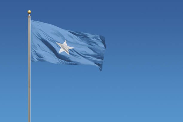 Somalidə nəqliyyat naziri öldürülüb