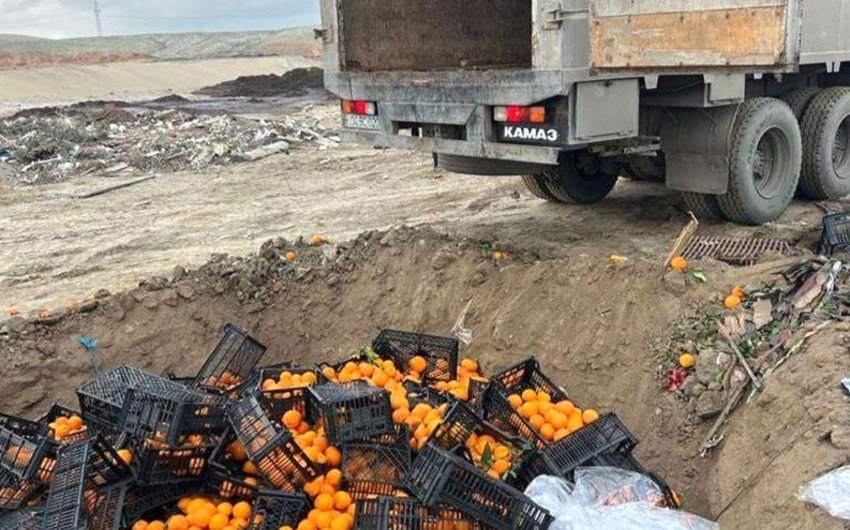 İrandan Azərbaycana gətirilən 20 tona yaxın zərərli portağal məhv edilib