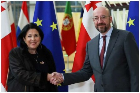Gürcüstan Prezidenti Şarl Mişellə görüşüb