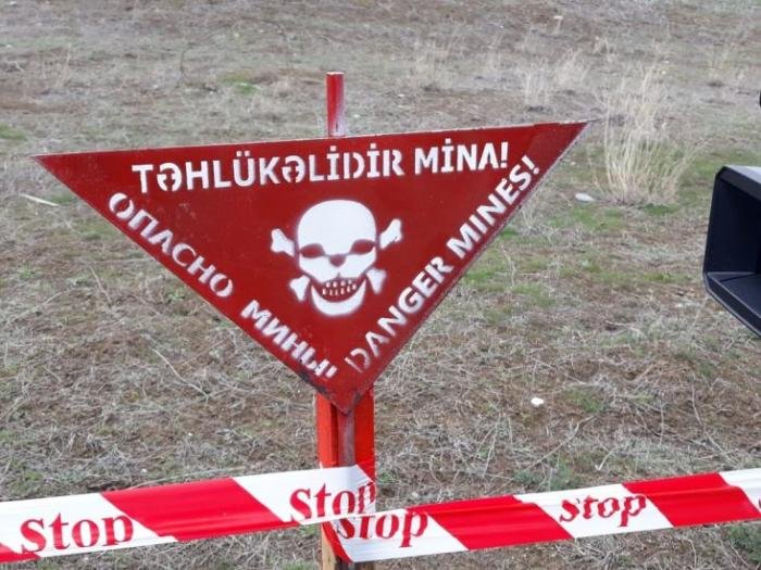 Azərbaycan qeyri-hökumət təşkilatları Ermənistanın törətdiyi mina terroru ilə bağlı bəyanat yayıb