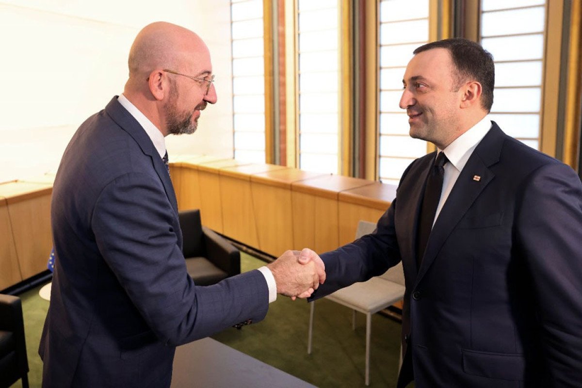 Qaribaşvili Şarl Mişellə görüşüb