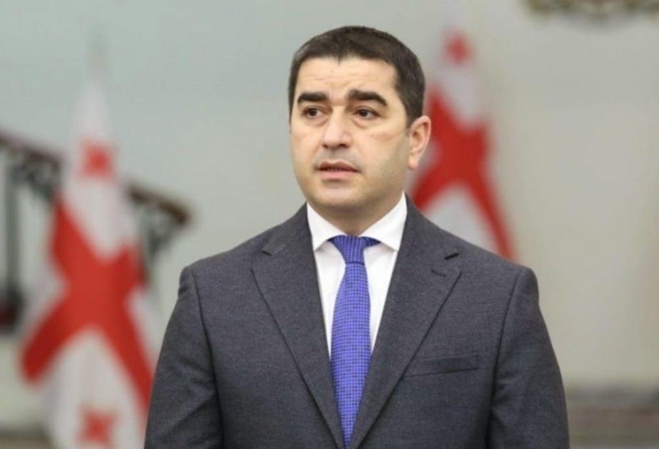 Gürcüstan parlamenti sədrinin Azərbaycana səfər planı açıqlanıb