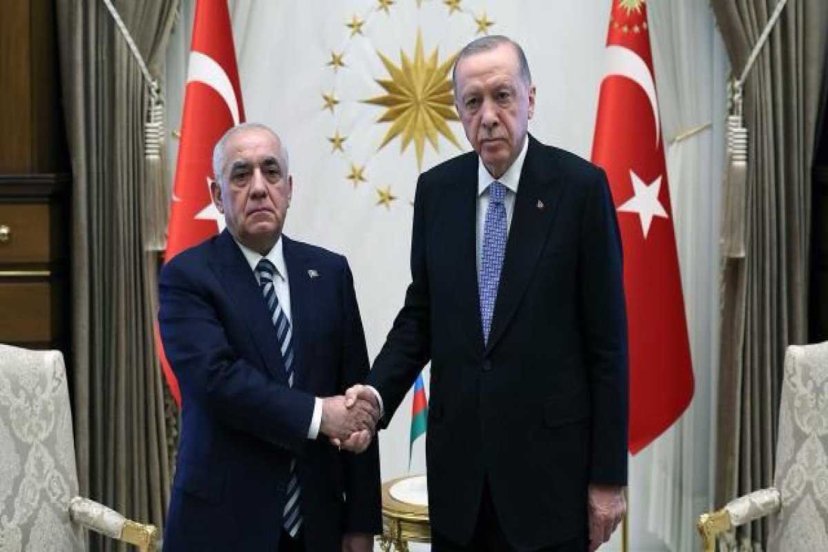 Türkiyə Prezidenti Əli Əsədovu qəbul edib