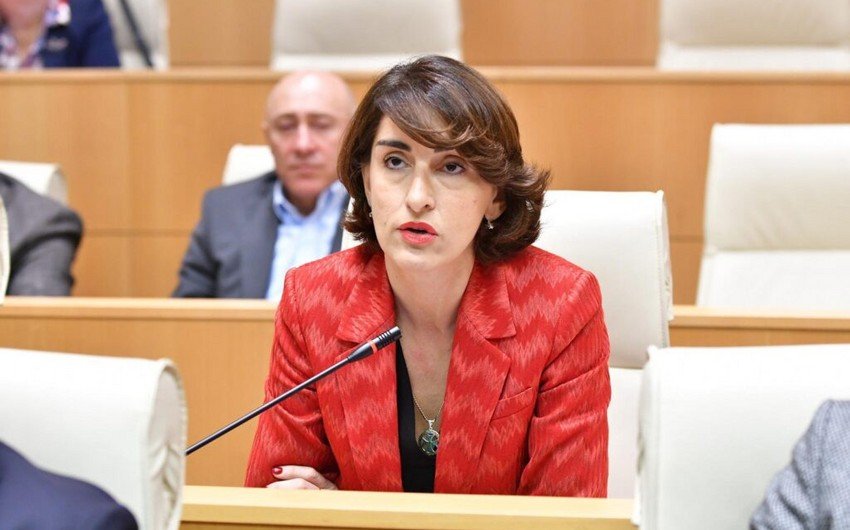 Gürcüstan XİN başçısı: Salome Zurabişvili tamamilə nəzarətsiz hərəkət edir