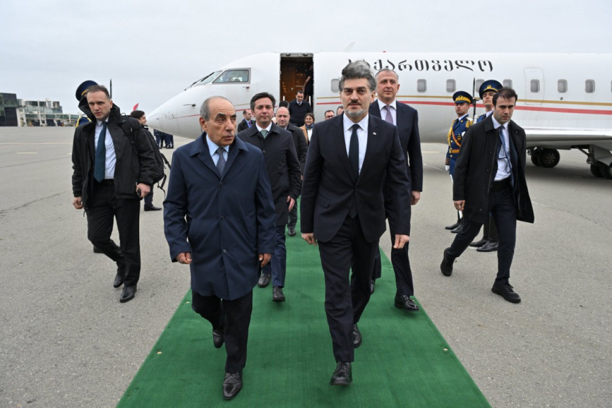 Gürcüstan Prezidenti Azərbaycana rəsmi səfərə gəlib