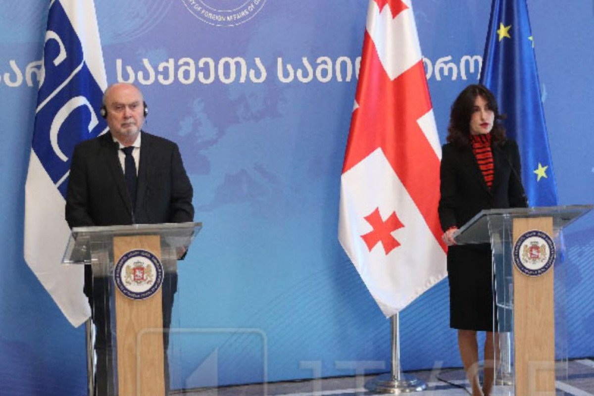 Gürcüstan XİN rəhbəri ATƏT Baş katibi ilə regional məsələləri müzakirə edib