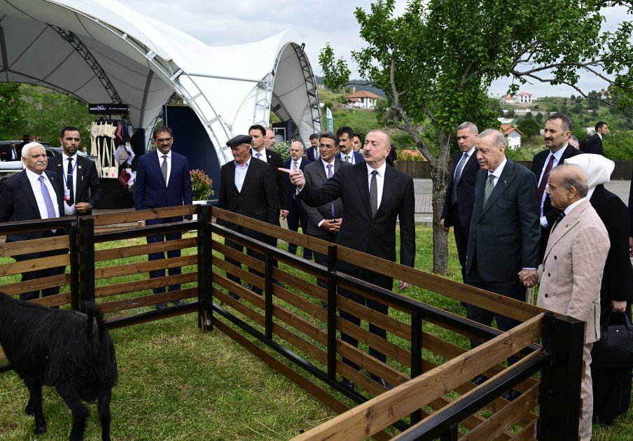 Azərbaycan və Türkiyə prezidentləri, Pakistanın Baş naziri Laçın şəhərində seyrəngahda olublar