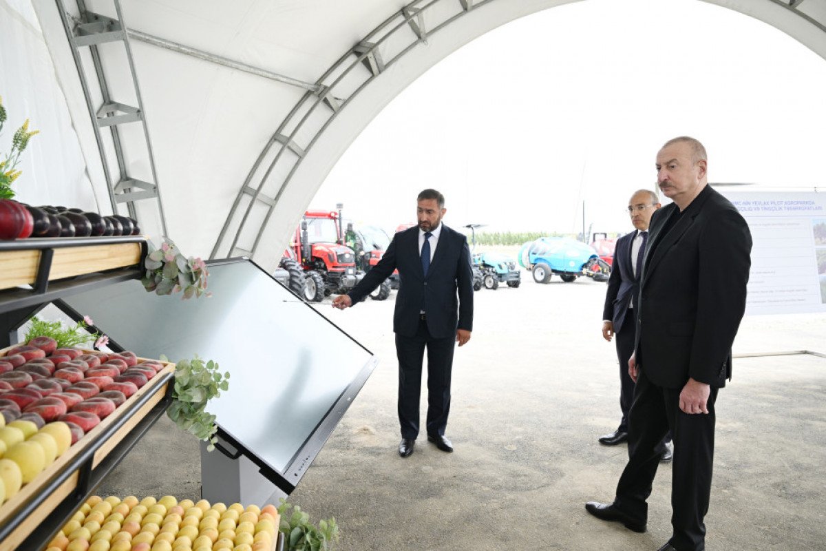 Prezident İlham Əliyev Yevlax pilot aqroparkının açılışında iştirak edib