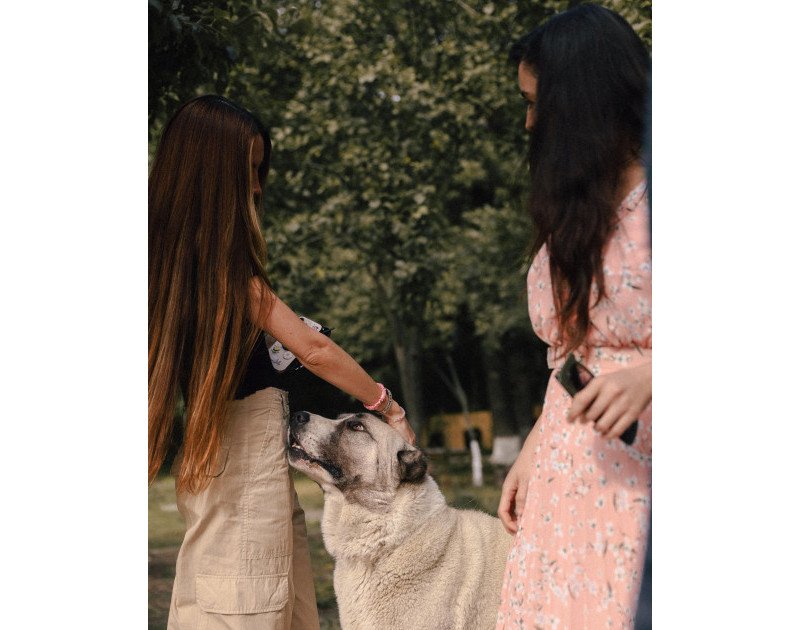 Leyla Əliyeva və Arzu Əliyeva Altıağac Milli Parkını ziyarət ediblər Leyla Əliyeva və Arzu Əliyeva Altıağac Milli Parkını ziyarət ediblər