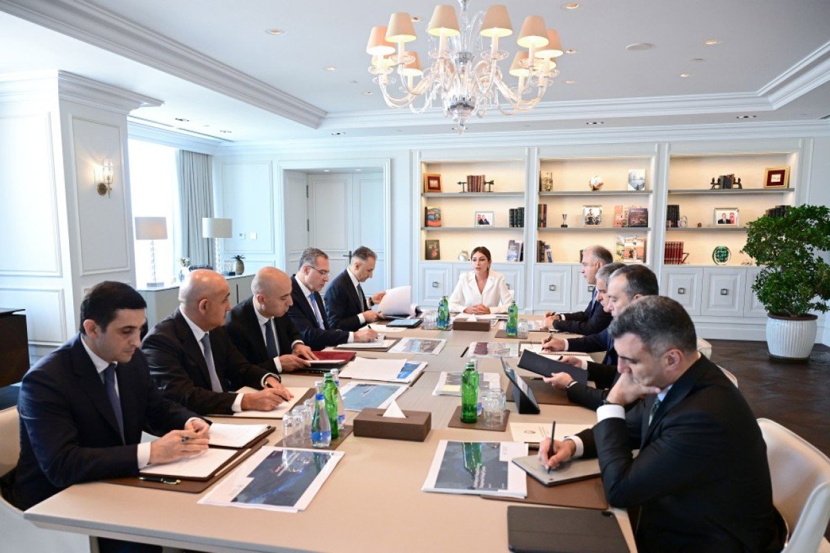 Birinci vitse-prezident Mehriban Əliyevanın sədrliyi ilə Rəqəmsal İnkişaf Şurasının ilk iclası keçirilib