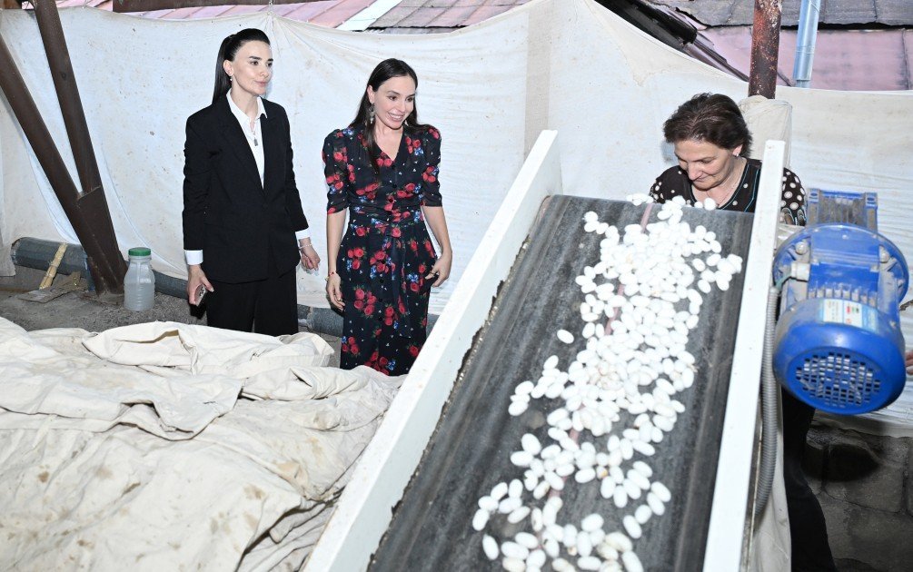 Leyla Əliyeva “Azəripək” ASC-nin fəaliyyəti ilə yaxından tanış olub
